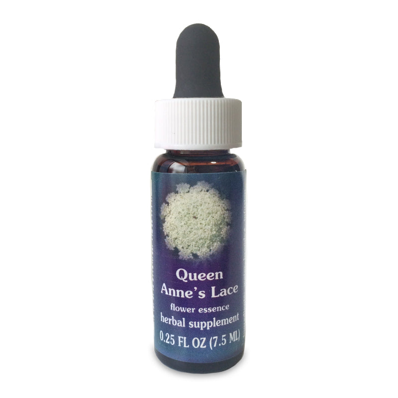 クイーンアンズレース《FESフラワーエッセンス》7.5mL（取り寄せ品）