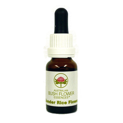 スレンダーライスフラワー《オーストラリアンブッシュ フラワーエッセンス》15mL
