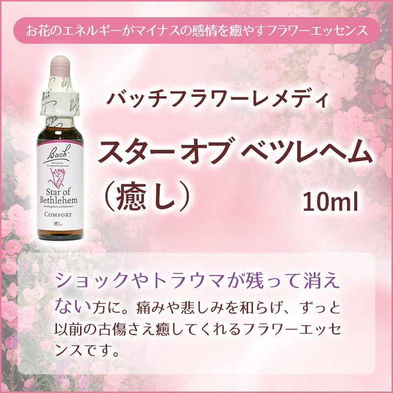 開封済み】エインズワース バッチフラワーエッセンス レメディ10ml 40 ...