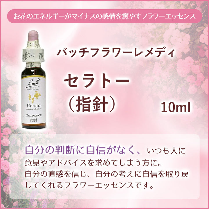 5.セラトー（ 10ml 粗く ） バッチフラワーエッセンス エインズワース社