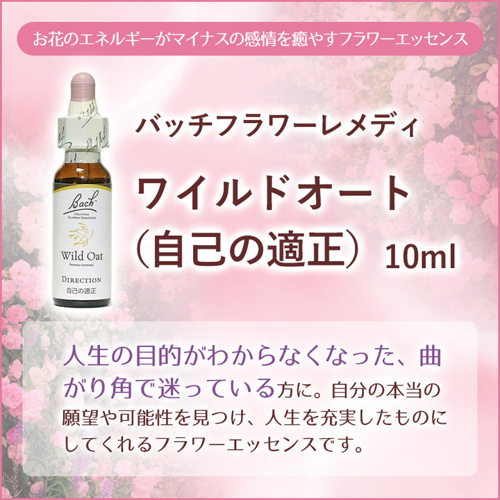 ワイルドオート（自己の適性） アルコールベース《バッチフラワーレメディ》20mL｜フラワーレメディ【公式】 – フラワーレメディサロン