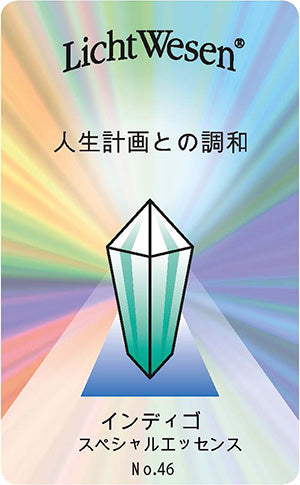 インディゴ エッセンススプレー《リヒトウェーゼン》30mL